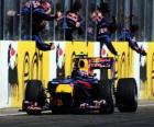 Mark Webber - Red Bull - Hungaroring, Gran Premio de Hungría 2010