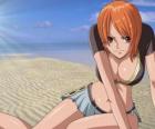 Nami es la navegante del barco pirata