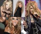 Kesha es una cantante y compositora americana.