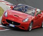  Felipe Massa conduciendo, un Ferrari California - Hungaroring 2010 -