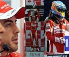 Fernando Alonso celebra su victoria en Monza, Gran Premio de Italia (2010)