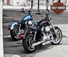 Dos bonitas Harley davidson aparcadas en la calle