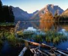 Un lago con troncos flotando en primer plano y altas motañas
