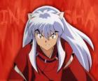 InuYasha es el principal protagonista de las aventuras. Es un medio-demonio, nacido de padre demonio perro y una madre humana