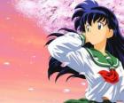 Kagome Higurashi es la reencarnación de la sacerdotisa Kikyo