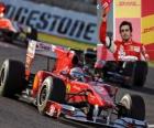 Fernando Alonso - Ferrari- Suzuka 2010 (3er Clasificado)