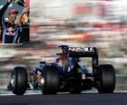 Mark Webber - Red Bull - Suzuka 2010 (2º Clasificado)