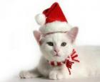 gato blanco con gorro de Papá Noel