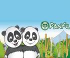 el mundo panda de Panfu
