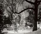 Navidad en el parque