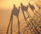 Los tres Reyes Magos a lomos de los camellos en su camino hacia Belén
