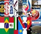 Copa Mundial de Clubes de la FIFA EAU 2010