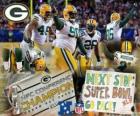 Green Bay Packers campeón de la NFC 2010-11