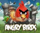 Angry Birds es un videojuego de Rovio. Los pájaros furiosos atacan a los cerdos que roban huevos