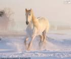 Caballo corriendo sobre la nieve