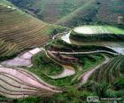 Paisaje de la China rural con sus campos de arroz
