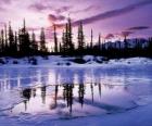 Paisaje invernal