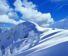 Bonito paisaje de invierno