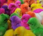Pollitos de Pascua