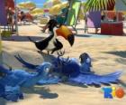 Película Rio con tres de sus protagonistas: los guacamayos Blu, Jewel y el tucano Rafael en la playa