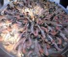 Una deliciosa paella