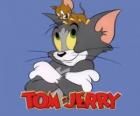 Tom y Jerry son los protagonistas de divertidas aventuras