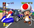 Toad con un kart. Toad es un ciudadano del Reino del Champiñón y leal sirviente de la princesa Peach
