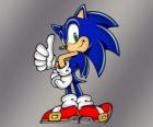 El erizo Sonic, protagonista principal de los videojuegos Sonic de Sega