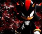 Shadow es un erizo como Sonic, y su rival
