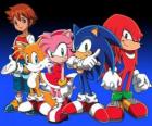 Sonic y otros personajes de los vídeojuegos de Sonic