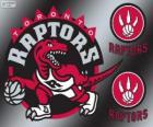 Logo de Toronto Raptors, equipo de la NBA. División Atlántico, Conferencia Este