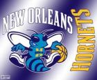Logo de Nueva Orleans Hornets, equipo de la NBA. División Suroeste, Conferencia Oeste