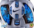 Nike Total 90 Tracer Doma la pelota oficial de la Copa América, Argentina 2011