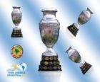 Trofeo Copa América 2011