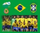 Selección de Brasil, Grupo B, Argentina 2011