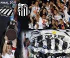 Santos FC campeón Copa Libertadores 2011