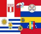 Semifinales, Copa América Argentina 2011