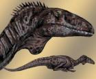 Zupaysaurus fue un terópodo de tamaño medio, alcanzando los 4 m de largo, 1,20 de alto y un peso de 200 kg