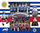 Uruguay vs Paraguay. Final de la Copa América Argentina 2011. 24 de julio, Estadio Monumental, Buenos Aires