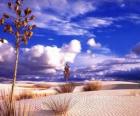 Paisaje de desierto