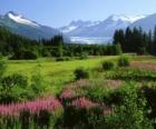 Paisaje de Alaska en verano