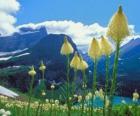 Bonito paisaje con flores en primer plano