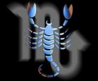 Escorpio. El escorpión. Octavo signo del zodíaco. Nombre en latín es Scorpius