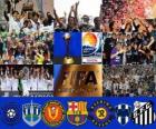 Copa Mundial de Clubes de la FIFA Japón 2011