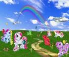 Ponis en el campo