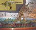 El Zhuchengosaurus es uno de los más grandes hadrosáuridos conocidos