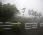 Tormenta tropical