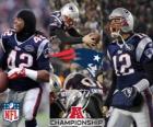 New England Patriots campeón de la AFC 2011