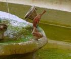 Pajaritos chapoteando en una fuente