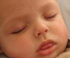 Bebé durmiendo